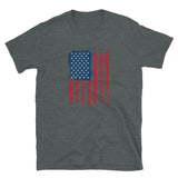 American Hanging Flag Unisex T-Shirt